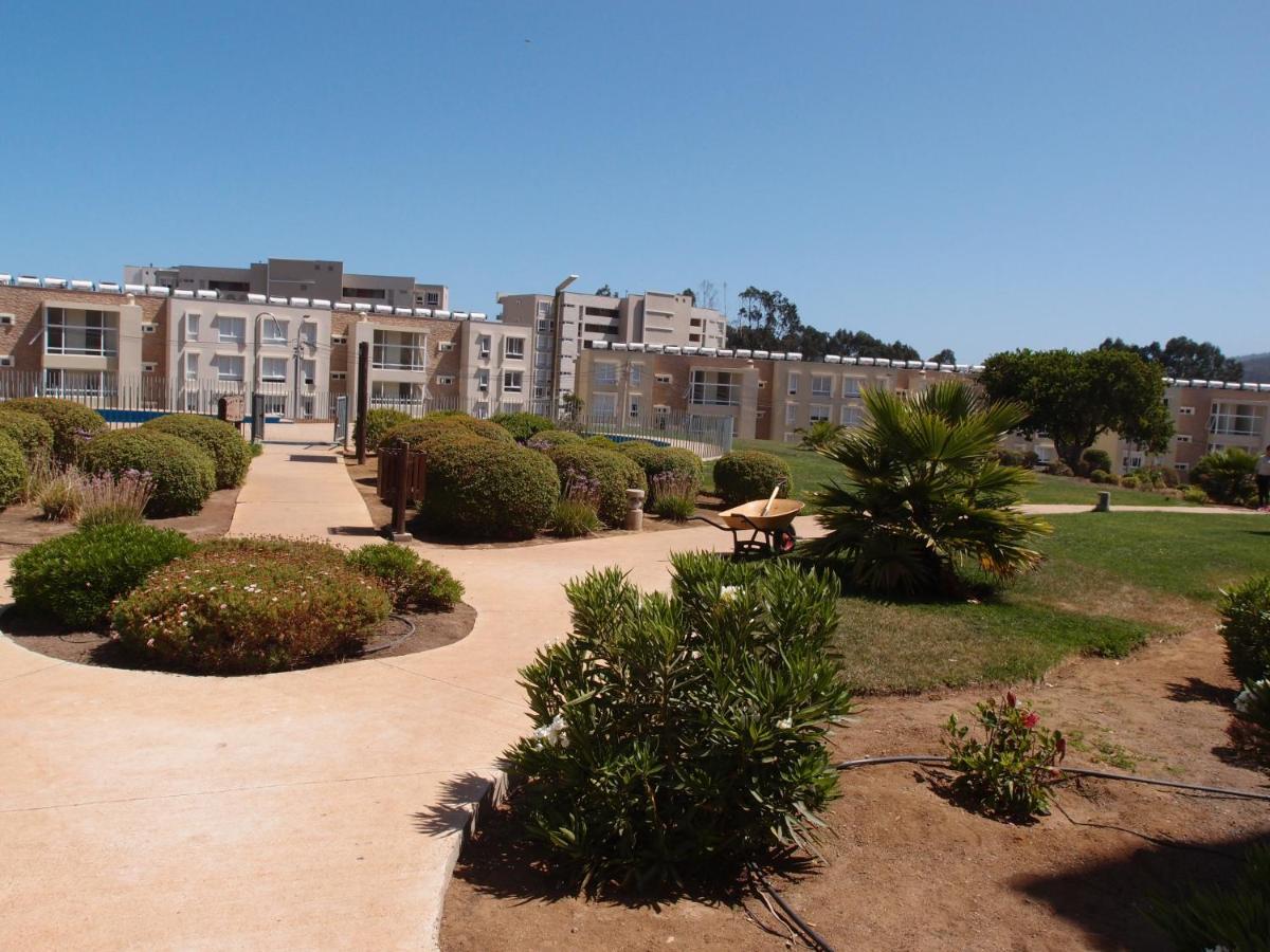 Apartamento Acogedor Departamento En Tranquilo Balneario, Papudo